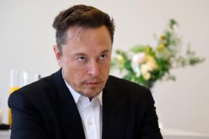Problema Elon Musk