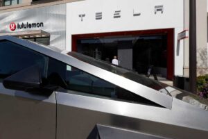 Elon Musk flop